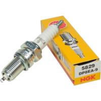 DP8EA-9 NGK-5829