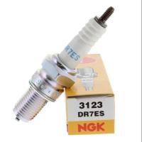 DR7ES NGK-3123